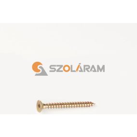 FAFORGÁCSLAPCSAVAR TORX-25 5X50 DIN 7505