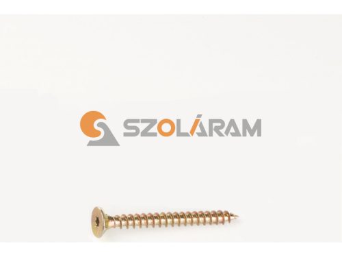 FAFORGÁCSLAPCSAVAR TORX-25 5X50 DIN 7505