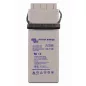 Victron 12V/115Ah AGM Telecomm Batt. (M8) akkumulátor