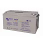 Victron 12V/165Ah AGM Deep Cycle Batt. (M8) akkumulátor
