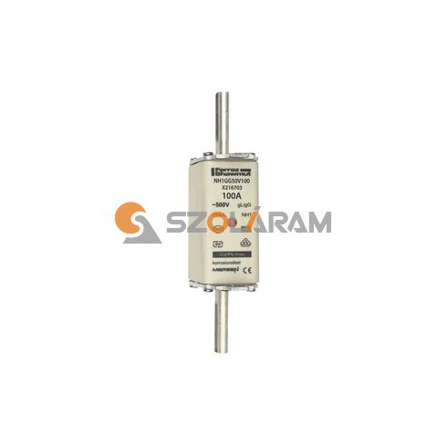 Mersen NH1GG50V100 biztosítóbetét